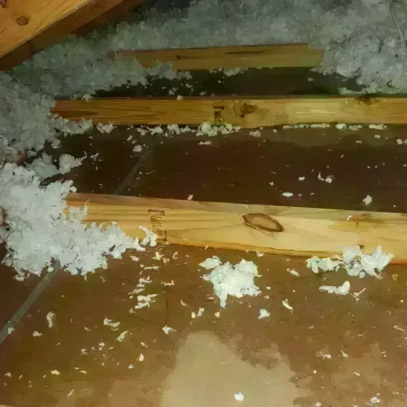 Attic Water Damage in North Hudson, WI