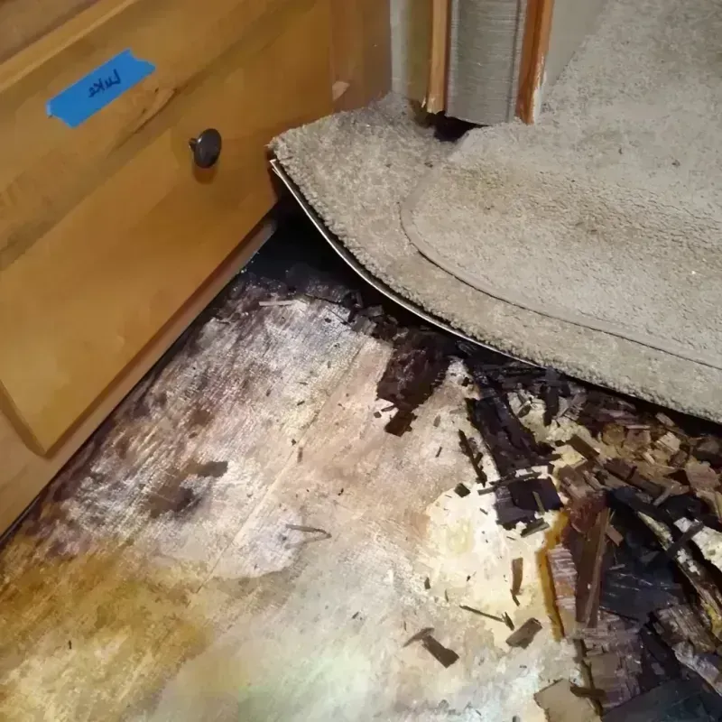 Wood Floor Water Damage in North Hudson, WI